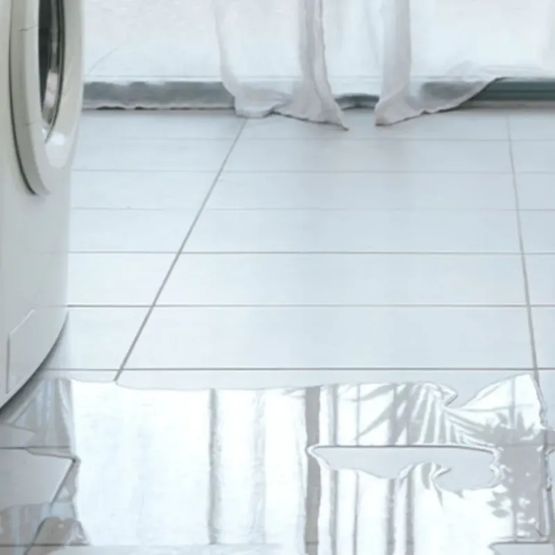Appliance Leak Cleanup in Jackson County, MN