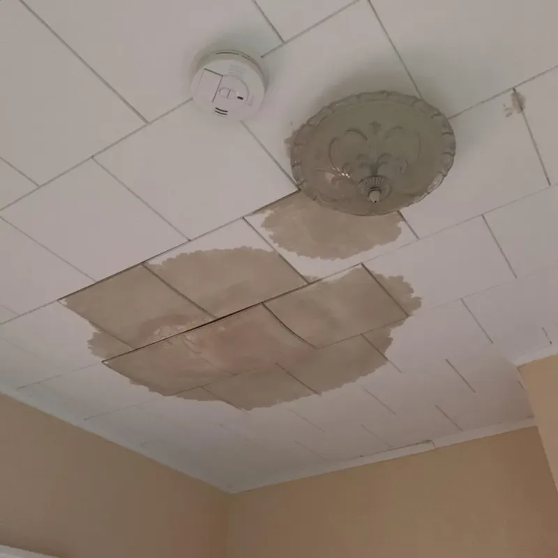 Ceiling Water Damage Repair in Jackson County, MN