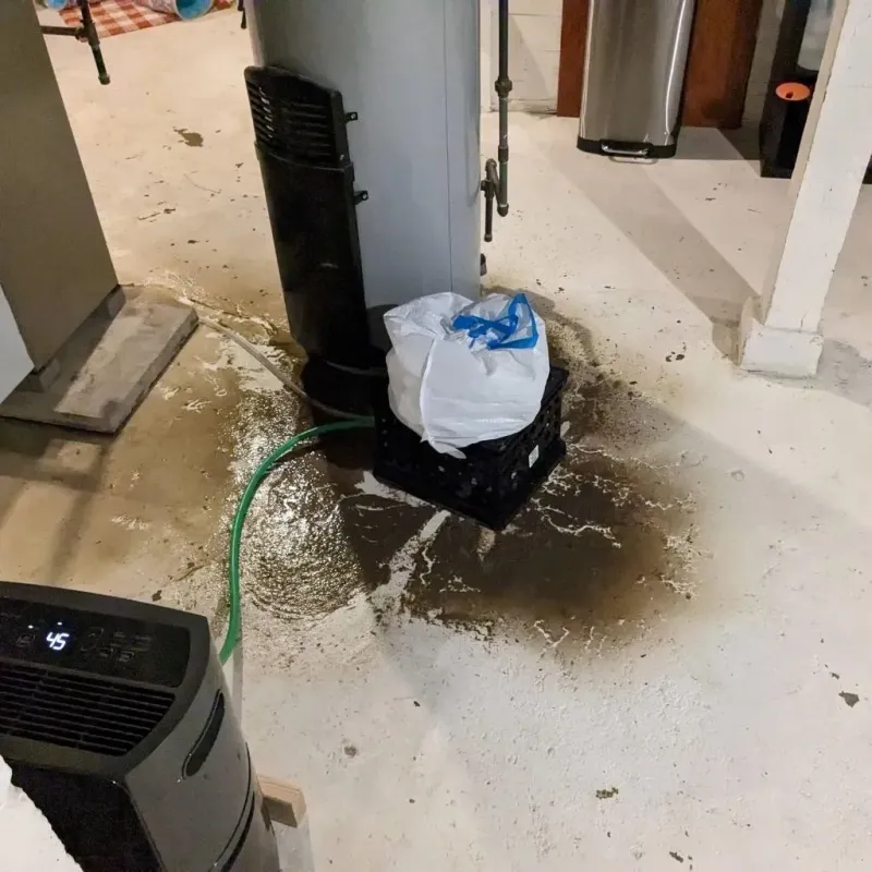 Sewage Backup Cleanup Service in Jackson County, MN